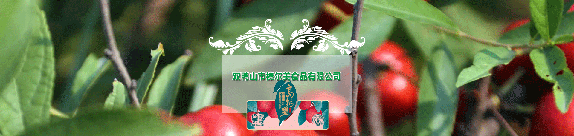 關于我們